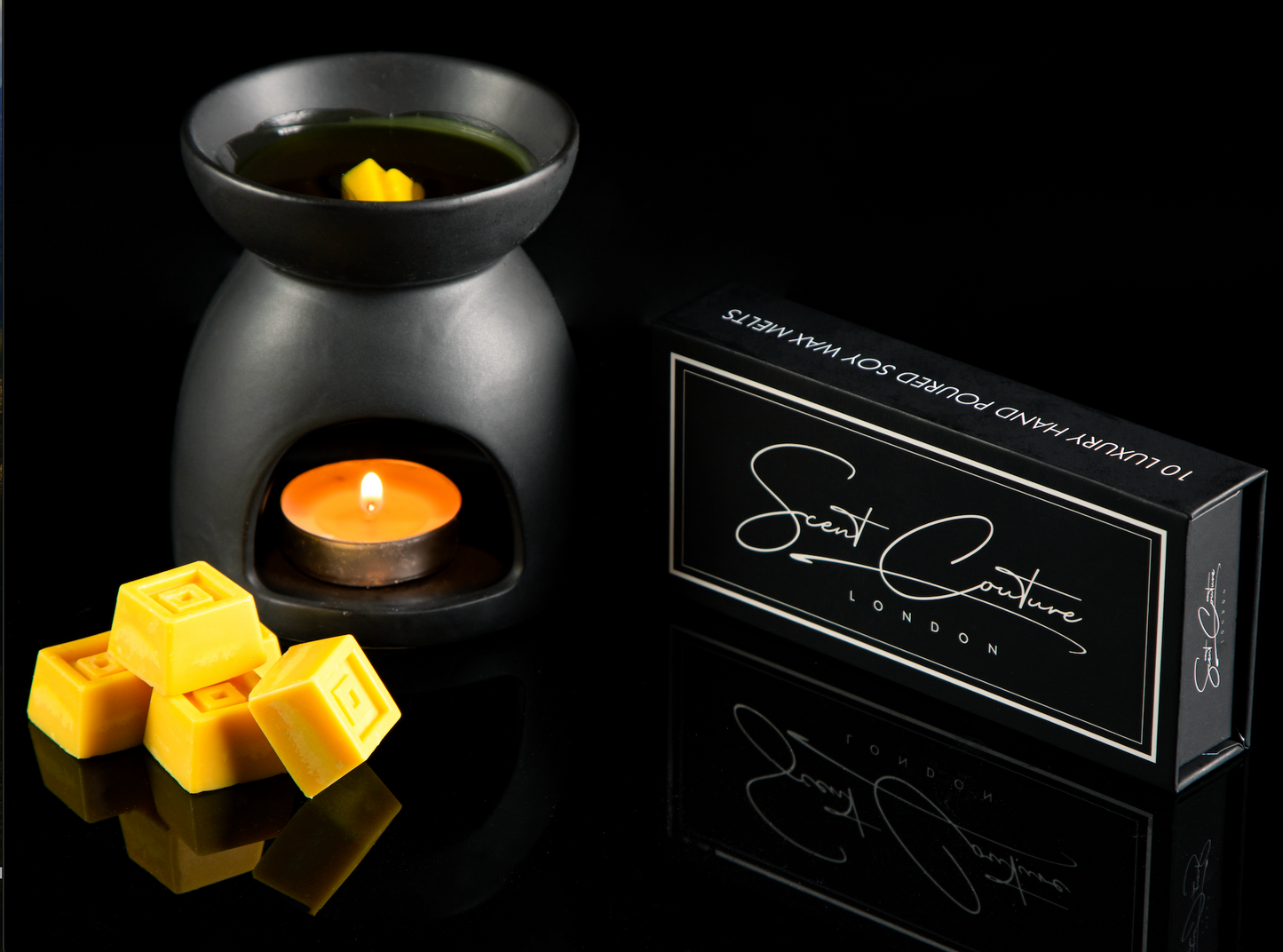 DARK ALCHEMY  LUXURY SOY WAX MELTS